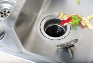 Drain and garbage disposal with apple peels.