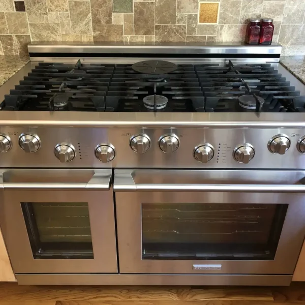 Stainless steel gas range